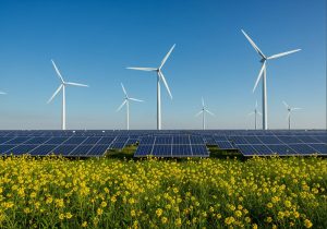 Nella foto, una serie di turbine eoliche ritratte in un paesaggio.