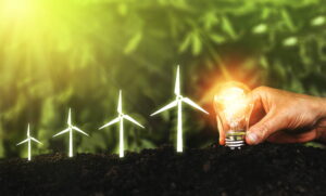 Il futuro delle energie rinnovabili richiede la presenza di figure promotrici del cambiamento, che sappiano comunicare con le istituzioni per iniziare la transizione energetica. Nella foto, una fila di pale eoliche e, alla fine, una lampadina.