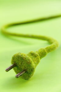 Nella foto, la rappresentazione di un cavo elettrico realizzato completamente con fili d'erba per esprimere il concetto di energia elettrica green.